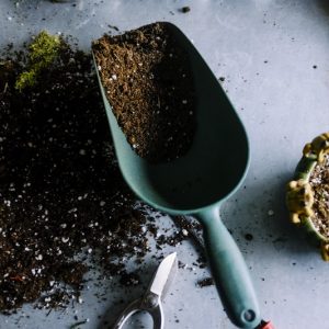 Mason Jar Grow System v1 — Complete Indoor Grow Kit